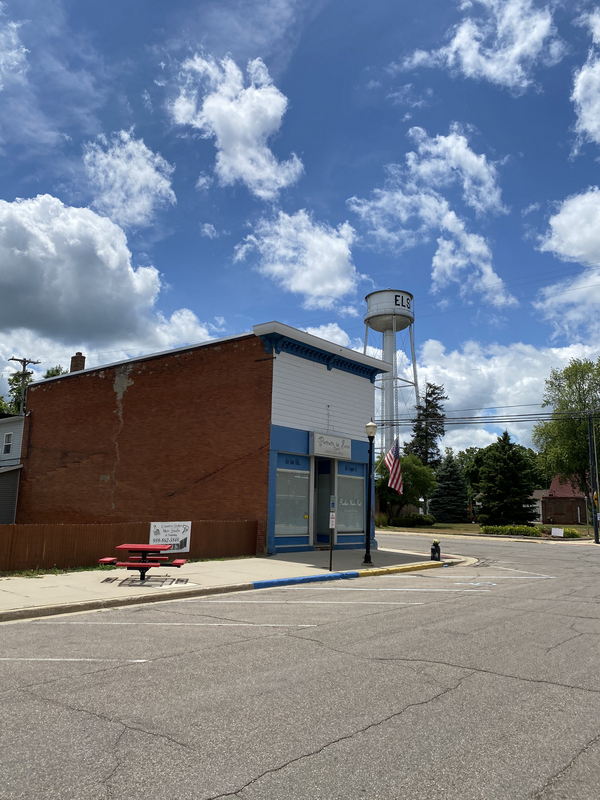 Elsie - July 12 2020 (newer photo)